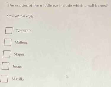 The ossicles of the middle ear include which small bones?
Select all that apply.
Tympanic
Malleus
Stapes
Incus
Maxilla