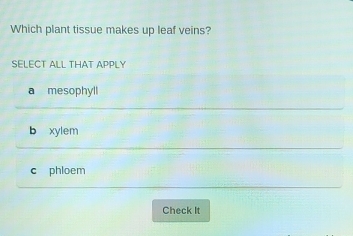 Which plant tissue makes up leaf veins?
SELECT ALL THAT APPLY
a mesophyll
b xylem
c phloem
Check It