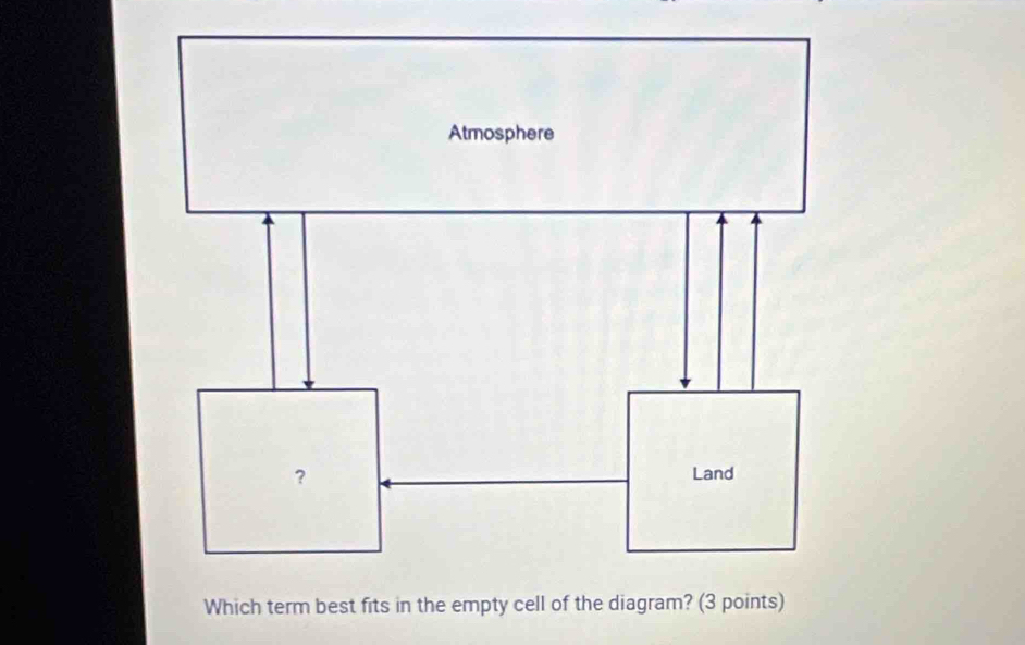 Which term best fits in the empty cell of the dia