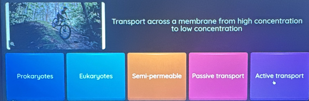 Transport across a membrane from high concentration
to low concentration
Prokaryotes Eukaryotes Semi-permeable Passive transport Active transport