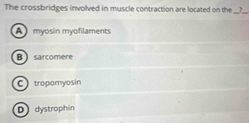 The crossbridges involved in muscle contraction are located on the _,
_
A myosin myofilaments
B sarcomere
C tropomyosin
Ddystrophin