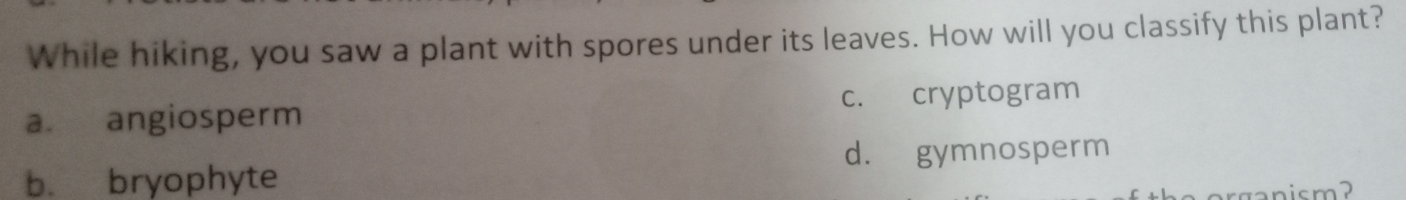 While hiking, you saw a plant with spores under its leaves. How will you classify this plant?
a. angiosperm c. cryptogram
d. gymnosperm
b. bryophyte
arganism?
