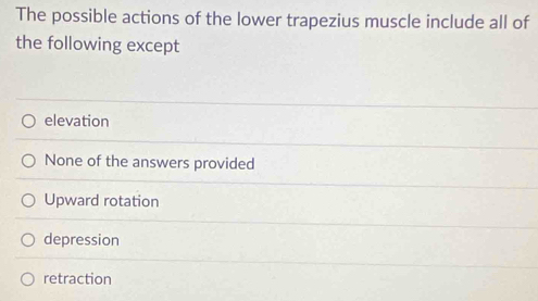 The possible actions of the lower trapezius muscle include all of
the following except
elevation
None of the answers provided
Upward rotation
depression
retraction