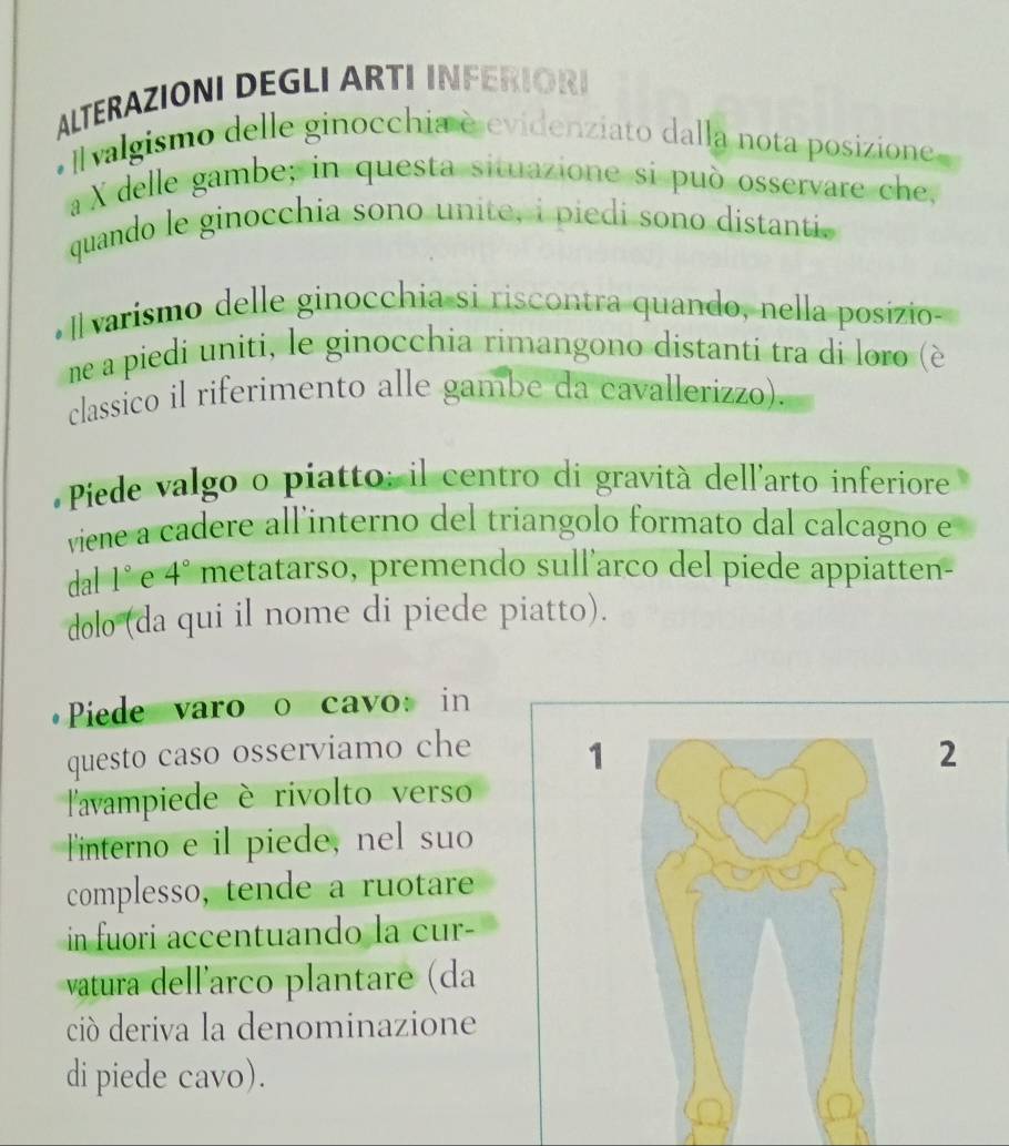 ALTERAZIONI DEGLI ARTI INFERIORI 
o [valgismo delle ginocchia è evidenziato dalla nota posizione 
a X delle gambe; in questa situazione si può osservare che, 
quando le ginocchia sono unite, i piedi sono distanti. 
[ varismo delle ginocchia si riscontra quando, nella posizio- 
ne a piedi uniti, le ginocchia rimangono distanti tra di loro (è 
classico il riferimento alle gambe da cavallerizzo). 
Piede valgo o piatto: il centro di gravità dell'arto inferiore 
viene a cadere all'interno del triangolo formato dal calcagno e 
dal 1° e 4° metatarso, premendo sull’arco del piede appiatten- 
dolo (da qui il nome di piede piatto). 
Piede varo o cavo: in 
questo caso osserviamo che 1 2
l'avampiede è rivolto verso 
Tinterno e il piede, nel suo 
complesso, tende a ruotare 
in fuori accentuando la cur- 
vatura dell´arco plantare (da 
ció deriva la denominazione 
di piede cavo).