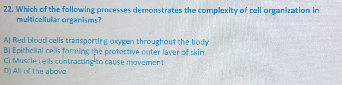 Which of the following processes demonstrates the complexity of cell organization in
multicellular organisms?
A) Red blood cells transporting oxygen throughout the body
B) Epithelial cells forming the protective outer layer of skin
C) Muscle cells contracting to cause movement
D) All of the above