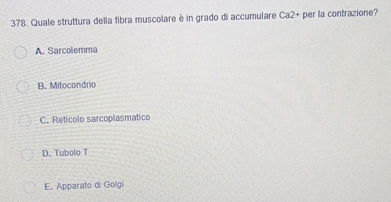 Quale struttura della fibra muscolare è in grado di accumulare Ca2+ per la contrazione?
A. Sarcolemma
B. Mitocondrio
C. Reticolo sarcoplasmatico
D. Tubolo T
E. Apparato di Golgi