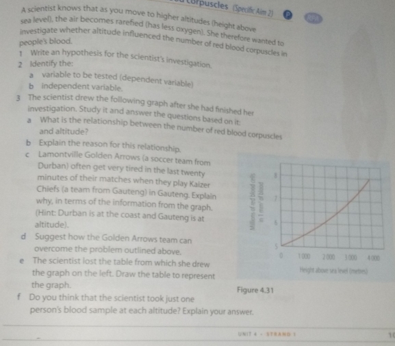 cor puscles (Specific Aim 2) 
A scientist knows that as you move to higher altitudes (height above 
sea level), the air becomes rarefied (has less oxygen). She therefore wanted to 
investigate whether altitude influenced the number of red blood corpuscles in 
people's blood. 
1 Write an hypothesis for the scientist's investigation. 
2 Identify the: 
a variable to be tested (dependent variable) 
b independent variable. 
3 The scientist drew the following graph after she had finished her 
investigation. Study it and answer the questions based on it: 
a What is the relationship between the number of red blood corpuscles 
and altitude? 
b Explain the reason for this relationship. 
c Lamontville Golden Arrows (a soccer team from 
Durban) often get very tired in the last twenty 
minutes of their matches when they play Kaizer 
Chiefs (a team from Gauteng) in Gauteng. Explain 
why, in terms of the information from the graph. 
(Hint: Durban is at the coast and Gauteng is at 
altitude). 
d Suggest how the Golden Arrows team can 
overcome the problem outlined above. 
e The scientist lost the table from which she drew Height above sea level (metres) 
the graph on the left. Draw the table to represent 
the graph. Figure 4.31 
f Do you think that the scientist took just one 
person's blood sample at each altitude? Explain your answer. 
_ 
_ 

1T 4 - STRANの  1