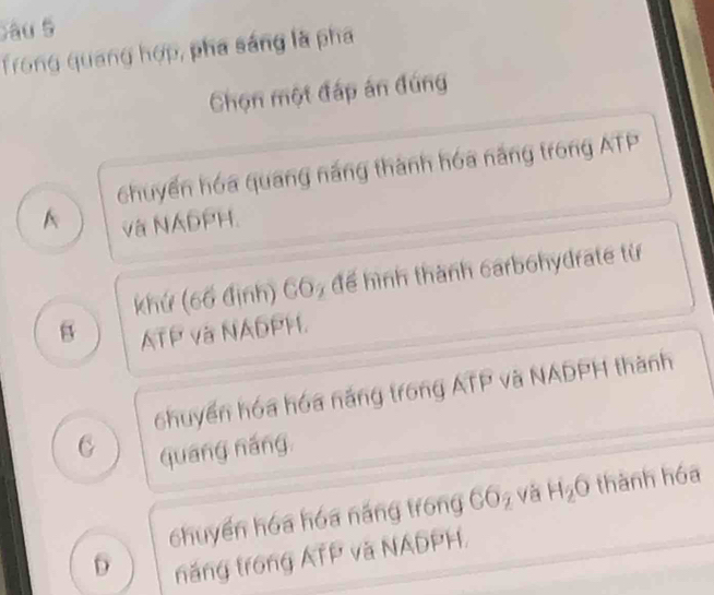 au 5
Trong quang hợp, pha sáng là pha
Chọn một đấp án đúng
chuyển hóa quang nắng thành hóa năng trong ATP
A và NADPH.
khứ (6ổ định) CO7 để hình thành carbohydrate từ
B ATP và NADPH.
chuyển hóa hóa nắng trong ATP và NADPH thành
6 quáng náng
chuyển hóa hóa năng trong CO₂ và H_2O thành hóa
6 năng trong ATP và NADPH,