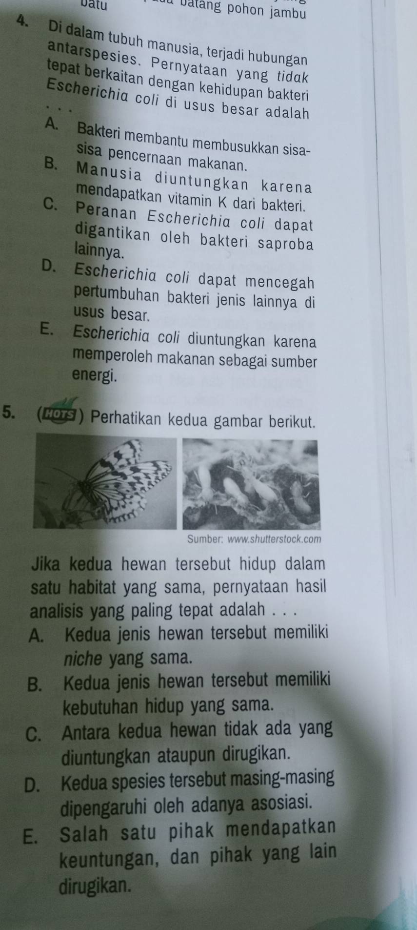 batu
Du batang pohon jambu
4. Di dalam tubuh manusia, terjadi hubungan
antarspesies. Pernyataan yang tidak
tepat berkaitan dengan kehidupan bakteri
Escherichia coli di usus besar adalah
A. Bakteri membantu membusukkan sisa-
sisa pencernaan makanan.
B. Manusia diuntungkan karena
mendapatkan vitamin K dari bakteri.
C. Peranan Escherichia coli dapat
digantikan oleh bakteri saproba
lainnya.
D. Escherichia coli dapat mencegah
pertumbuhan bakteri jenis lainnya di
usus besar.
E. Escherichia coli diuntungkan karena
memperoleh makanan sebagai sumber
energi.
5. (20rs ) Perhatikan kedua gambar berikut.
Sumber: www.shutterstock.com
Jika kedua hewan tersebut hidup dalam
satu habitat yang sama, pernyataan hasil
analisis yang paling tepat adalah . . .
A. Kedua jenis hewan tersebut memiliki
niche yang sama.
B. Kedua jenis hewan tersebut memiliki
kebutuhan hidup yang sama.
C. Antara kedua hewan tidak ada yang
diuntungkan ataupun dirugikan.
D. Kedua spesies tersebut masing-masing
dipengaruhi oleh adanya asosiasi.
E. Salah satu pihak mendapatkan
keuntungan, dan pihak yang lain
dirugikan.