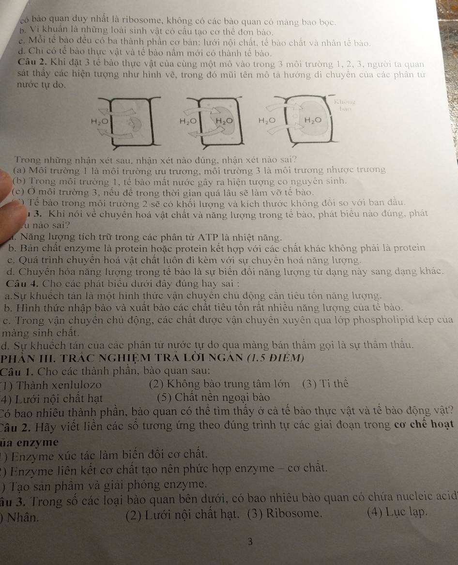 có bào quan duy nhất là ribosome, không có các bào quan có màng bao bọc.
B. Vi khuẩn là những loài sinh vật có cấu tạo cơ thể đơn bào.
c. Mỗi tế bào đều có ba thành phần cơ bản: lưới nội chất, tế bào chất và nhân tế bào.
d. Chi có tể bào thực vật và tế bào nắm mới có thành tế bào.
Câu 2. Khi đặt 3 tế bảo thực vật của cùng một mô vào trong 3 môi trường 1, 2, 3, người ta quan
sát thấy các hiện tượng như hình vẽ, trong đó mũi tên mô tả hướng di chuyển của các phân tử
nước tự do.
Trong những nhận xét sau, nhận xét nào đúng, nhận xét nào sai?
(a) Môi trường 1 là môi trường ưu trương, môi trường 3 là môi trương nhược trương
(b) Trong môi trường 1, tế bào mất nước gây ra hiện tượng co nguyên sinh.
(c) Ở môi trường 3, nếu để trong thời gian quá lâu sẽ làm vỡ tế bào.
)  Tể bào trong môi trường 2 sẽ có khối lượng và kích thước không đôi so với ban dầu.
13. Khi nói về chuyền hoá vật chất và năng lượng trong tế bào, phát biểu nào đúng, phát
u nào sai?.  Năng lượng tích trữ trong các phân tử ATP là nhiệt năng.
b. Bản chất enzyme là protein hoặc protein kết hợp với các chất khác không phải là protein
c. Quá trình chuyền hoá vật chất luôn đi kèm với sự chuyền hoá năng lượng.
d. Chuyên hóa năng lượng trong tế bào là sự biến đồi năng lượng từ dạng này sang dạng khác.
Câu 4. Cho các phát biểu dưới đây đúng hay sai :
a.Sự khuếch tán là một hình thức vận chuyền chủ động cần tiêu tồn năng lượng.
b. Hình thức nhập bảo và xuất bảo các chất tiêu tồn rất nhiều năng lượng của tế bào.
c. Trong vận chuyển chủ động, các chất được vận chuyền xuyên qua lớp phospholipid kép của
màng sinh chất.
d. Sự khuếch tán của các phân tử nựớc tự do qua màng bán thầm gọi là sự thầm thầu.
phảN III. tRắC ngHIệM Trả lời ngản (1.5 điêm)
Câu 1. Cho các thành phần, bào quan sau:
1) Thành xenlulozo (2) Không bào trung tâm lớn (3) Ti thể
4) Lưới nội chất hạt  (5) Chất nền ngoại bào
Có bao nhiêu thành phần, bào quan có thể tìm thấy ở cả tế bào thực vật và tế bào động vật?
Câu 2. Hãy viết liền các số tương ứng theo đúng trình tự các giai đoạn trong cơ chế hoạt
üa enzyme
) Enzyme xúc tác làm biến đổi cơ chất.
2) Enzyme liên kết cơ chất tạo nên phức hợp enzyme - cơ chất.
) Tạo sản phâm và giải phóng enzyme.
ầu 3. Trong số các loại bào quan bên dưới, có bao nhiêu bào quan có chứa nucleic acid
) Nhân.  (2) Lưới nội chất hạt. (3) Ribosome. (4) Lục lạp.
3