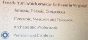 Fossils from which eras can be found in Virginia?
Jurassic, Triassic, Cretaceous
Cenozoic, Mesozoic and Paleozoic
Archean and Proterozoic
Permian and Cambrian