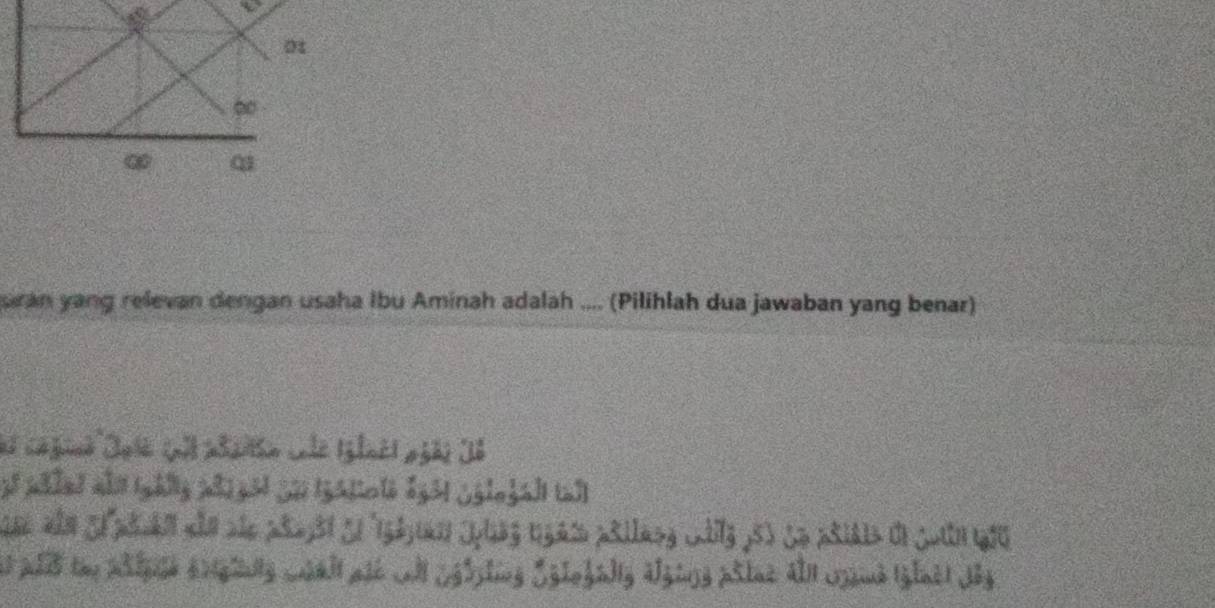 a 
ran yang relevan dengan usaha Ibu Aminah adalah .... (Pilihlah dua jawaban yang benar) 
é husé 
13