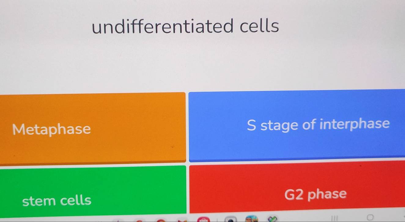 تم الحل:undifferentiated cells Metaphase S stage of interphase stem ...