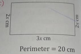 Perimeter =20cm