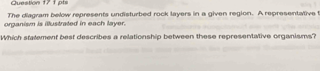 The diagram below represents undisturbed rock layers in a given region. A representative f 
organism is illustrated in each layer. 
Which statement best describes a relationship between these representative organisms?