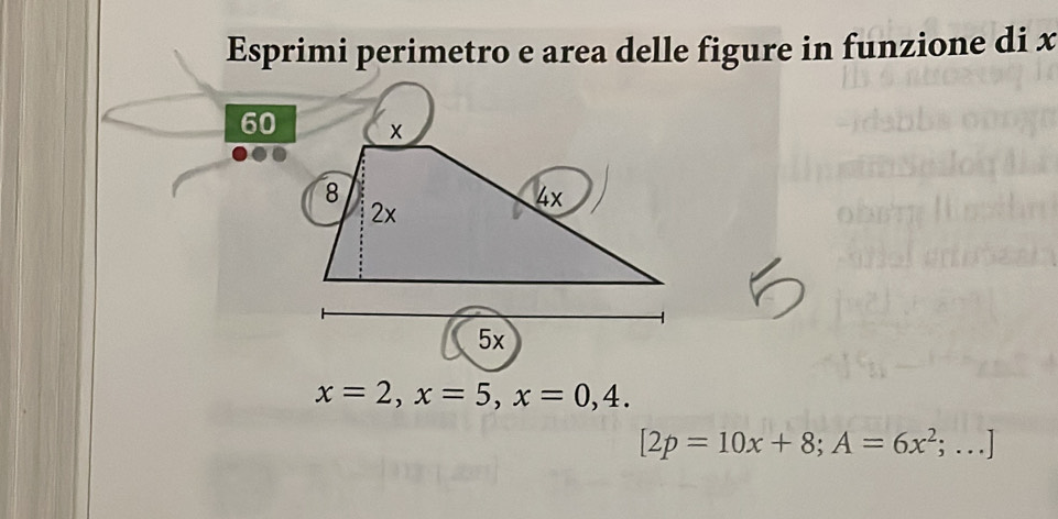 Esprimi perimetro e area delle figure in funzione di x
60
x=2, x=5, x=0,4.
[2p=10x+8;A=6x^2;...]