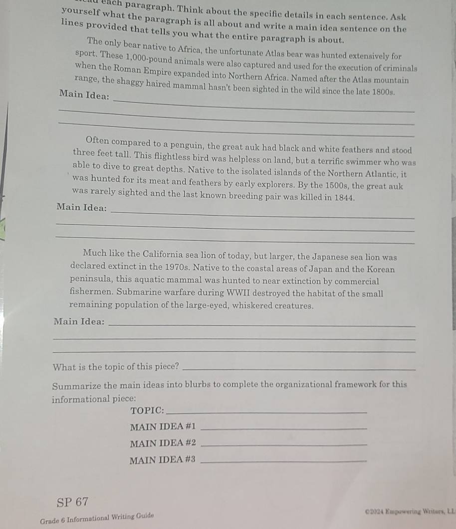 each paragraph. Think about the specific details in each sentence. Ask 
yourself what the paragraph is all about and write a main idea sentence on the 
lines provided that tells you what the entire paragraph is about. 
The only bear native to Africa, the unfortunate Atlas bear was hunted extensively for 
sport. These 1,000-pound animals were also captured and used for the execution of criminals 
when the Roman Empire expanded into Northern Africa. Named after the Atlas mountain 
_ 
range, the shaggy haired mammal hasn't been sighted in the wild since the late 1800s. 
Main Idea: 
_ 
_ 
Often compared to a penguin, the great auk had black and white feathers and stood 
three feet tall. This flightless bird was helpless on land, but a terrific swimmer who was 
able to dive to great depths. Native to the isolated islands of the Northern Atlantic, it 
was hunted for its meat and feathers by early explorers. By the 1500s, the great auk 
was rarely sighted and the last known breeding pair was killed in 1844. 
_ 
Main Idea: 
_ 
_ 
Much like the California sea lion of today, but larger, the Japanese sea lion was 
declared extinct in the 1970s. Native to the coastal areas of Japan and the Korean 
peninsula, this aquatic mammal was hunted to near extinction by commercial 
fishermen. Submarine warfare during WWII destroyed the habitat of the small 
remaining population of the large-eyed, whiskered creatures. 
Main Idea:_ 
_ 
_ 
What is the topic of this piece?_ 
Summarize the main ideas into blurbs to complete the organizational framework for this 
informational piece: 
TOPIC:_ 
MAIN IDEA #1_ 
MAIN IDEA #2_ 
MAIN IDEA #3_ 
SP 67 
Grade 6 Informational Writing Guide 
€2024 Empowering Writars, LL