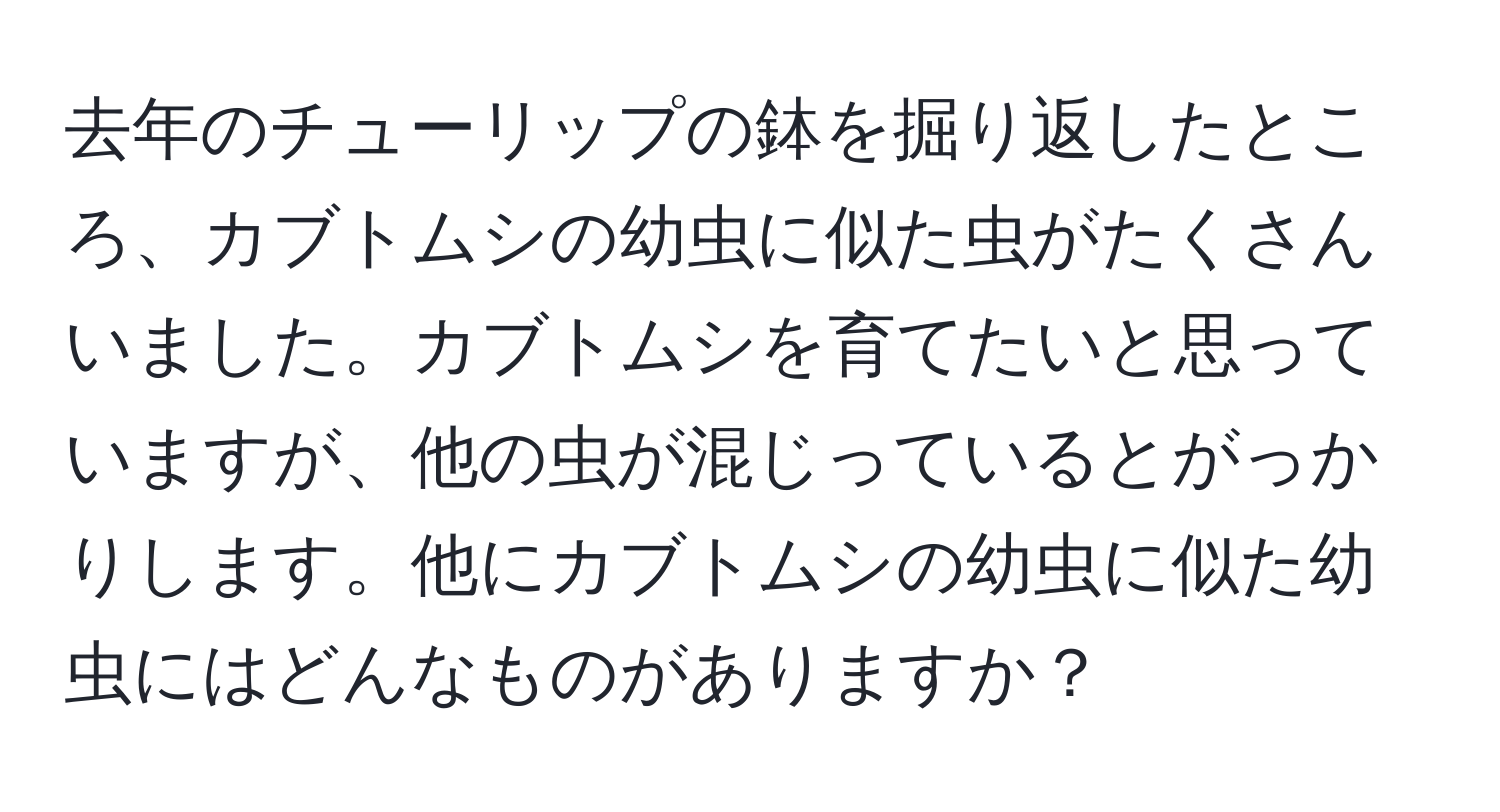 去年のチューリップの鉢を掘り返したところ、カブトムシの幼虫に似た虫がたくさんいました。カブトムシを育てたいと思っていますが、他の虫が混じっているとがっかりします。他にカブトムシの幼虫に似た幼虫にはどんなものがありますか？