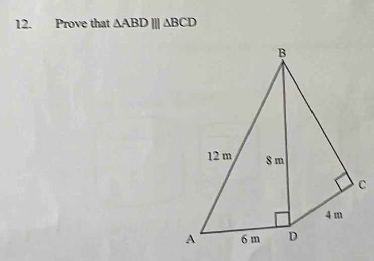 Prove that △ ABD|||△ BCD