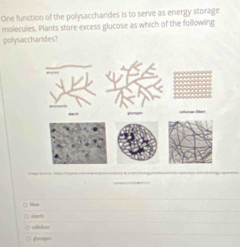 One function of the polysaccharides is to serve as energy storage
molecules. Plants store excess glucose as which of the following
polysaccharides?
titgs eméut = 
cntent/1936c6f721
6ber
starch
cellulose
glycagen