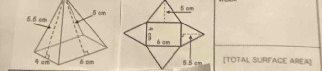 [TOTAL SURFACE AREA]