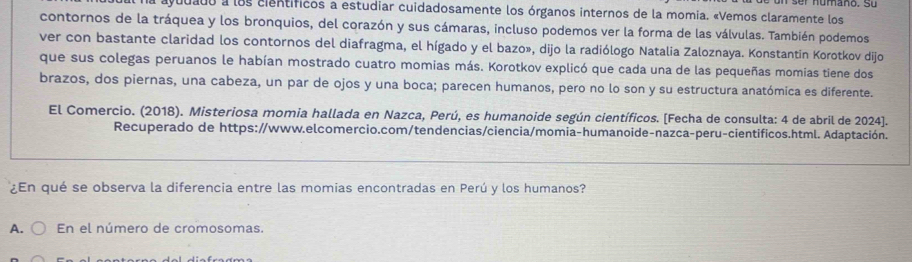 na ayudado a los cientificos a estudiar cuidadosamente los órganos internos de la momia. «Vemos claramente los
contornos de la tráquea y los bronquios, del corazón y sus cámaras, incluso podemos ver la forma de las válvulas. También podemos
ver con bastante claridad los contornos del diafragma, el hígado y el bazo», dijo la radiólogo Natalia Zaloznaya. Konstantin Korotkov dijo
que sus colegas peruanos le habían mostrado cuatro momias más. Korotkov explicó que cada una de las pequeñas momias tiene dos
brazos, dos piernas, una cabeza, un par de ojos y una boca; parecen humanos, pero no lo son y su estructura anatómica es diferente.
El Comercio. (2018). Misteriosa momia hallada en Nazca, Perú, es humanoide según científicos. [Fecha de consulta: 4 de abril de 2024].
Recuperado de https://www.elcomercio.com/tendencias/ciencia/momia-humanoide-nazca-peru-cientificos.html. Adaptación.
¿En qué se observa la diferencia entre las momias encontradas en Perú y los humanos?
A. En el número de cromosomas.