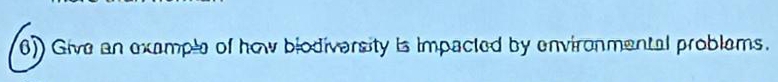 6)) Give an example of how biodiversity is impacted by environmental problems.