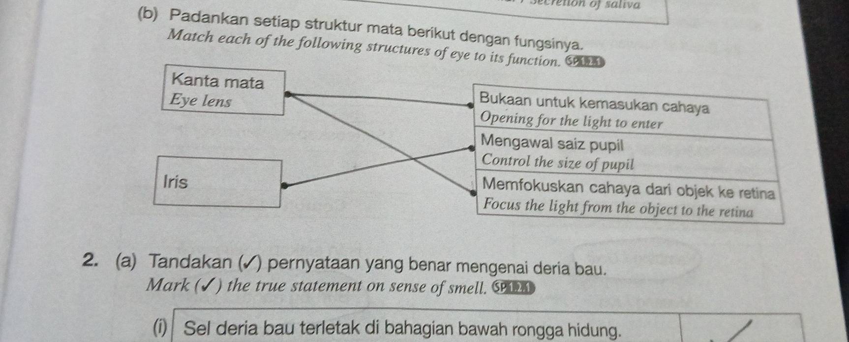 secretion of saliva 
(b) Padankan setiap struktur mata berikut dengan fungsinya. 
Match each of the following structures of eye to its function. S 
Kanta mata Bukaan untuk kemasukan cahaya 
Eye lens Opening for the light to enter 
Mengawal saiz pupil 
Control the size of pupil 
Iris 
Memfokuskan cahaya dari objek ke retina 
Focus the light from the object to the retina 
2. (a) Tandakan (✓) pernyataan yang benar mengenai deria bau. 
Mark (✓) the true statement on sense of smell. C 
(i) Sel deria bau terletak di bahagian bawah rongga hidung.