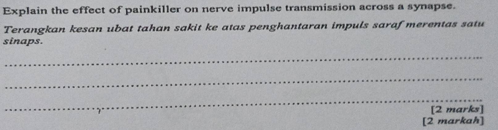 Explain the effect of painkiller on nerve impulse transmission across a synapse. 
Terangkan kesan ubat tahan sakit ke atas penghantaran impuls saraf merentas satu 
sinaps. 
_ 
_ 
_ 
[2 marks] 
[2 markah]