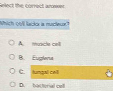 Select the correct answer.
Which cell lacks a nucleus?
A. muscle cell
B. Euglena
C. fungal cell
D. bacterial cell