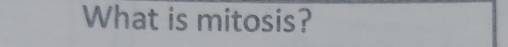 What is mitosis?