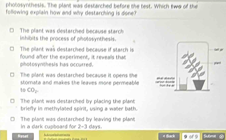 Solved: photosynthesis. The plant was destarched before the test. Which ...
