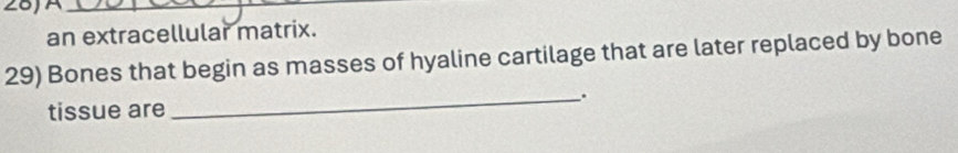 28JA_ 
an extracellular matrix. 
29) Bones that begin as masses of hyaline cartilage that are later replaced by bone 
_. 
tissue are