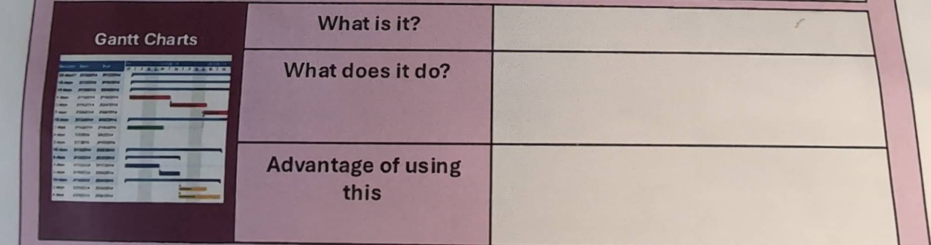 Gantt Charts