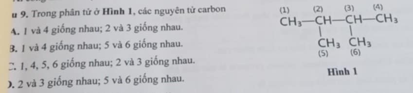 Trong phân tử ở Hình 1, các nguyên tử carbon
A. 1 và 4 giống nhau; 2 và 3 giống nhau.
B. 1 và 4 giống nhau; 5 và 6 giống nhau.
beginarrayr (1) (H_3-CH-CH-CH_3 CH_3 []/[C] +_3frac [H-CH_3][C]+_3 endarray
C. 1, 4, 5, 6 giống nhau; 2 và 3 giống nhau.
0. 2 và 3 giống nhau; 5 và 6 giống nhau.