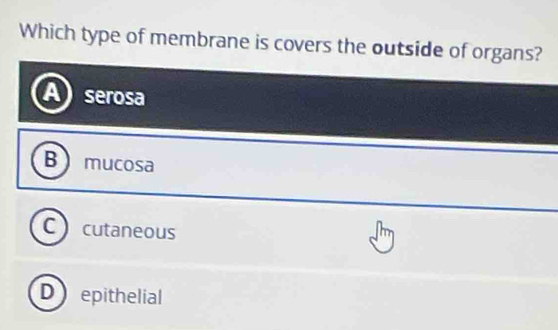 Which type of membrane is covers the outside of organs?
serosa
B mucosa
cutaneous
D ) epithelial