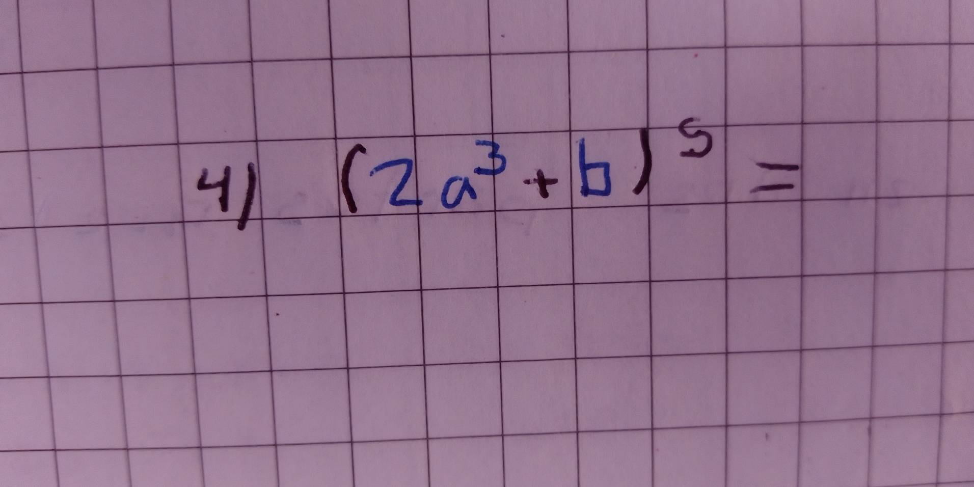 41
(2a^3+b)^5=