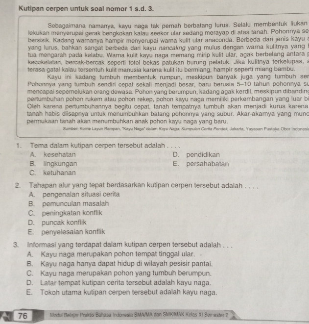 Kutipan cerpen untuk soal nomor 1 s.d. 3.
Sebagaimana namanya, kayu naga tak pernah berbatang lurus. Selalu membentuk liukan
lekukan menyerupai gerak bengkokan kalau seekor ular sedang merayap di atas tanah. Pohonnya se
bersisik. Kadang warnanya hampir menyerupai warna kulit ular anaconda. Berbeda dari jenis kayu a
yang lurus, bahkan sangat berbeda dari kayu nancakng yang mulus dengan warna kulitnya yang I
tua mengarah pada kelabu. Warna kulit kayu naga memang mirip kulit ular, agak berbelang antara p
kecokelatan, bercak-bercak seperti totol bekas patukan burung pelatuk. Jika kulitnya terkelupas, a
terasa gatal kalau tersentuh kulit manusia karena kulit itu bermiang, hampir seperti miang bambu.
Kayu ini kadang tumbuh membentuk rumpun, meskipun banyak juga yang tumbuh ser
Pohonnya yang tumbuh sendiri cepat sekali menjadi besar, baru berusia 5-10 tahun pohonnya su
mencapai sepemelukan orang dewasa. Pohon yang berumpun, kadang agak kerdil, meskipun dibanding
pertumbuhan pohon rukem atau pohon rekep, pohon kayu naga memiliki perkembangan yang luar bi
Oleh karena pertumbuhannya begitu cepat, tanah tempatnya tumbuh akan menjadi kurus karena
tanah habis diisapnya untuk menumbuhkan batang pohonnya yang subur. Akar-akarnya yang munc
permukaan tanah akan menumbuhkan anak pohon kayu naga yang baru.
Sumber: Korrie Layun Rampan, ''Kayu Naga'' dalam Kayu Naga: Kumpulan Cerita Pendek, Jakarta, Yayasan Pustaka Obor Indonesi
1. Tema dalam kutipan cerpen tersebut adalah . . . .
A. kesehatan D. pendidikan
B. lingkungan E. persahabatan
C. ketuhanan
2. Tahapan alur yang tepat berdasarkan kutipan cerpen tersebut adalah . . . .
A. pengenalan situasi cerita
B. pemunculan masalah
C. peningkatan konflik
D. puncak konflik
E. penyelesaian konflik
3. Informasi yang terdapat dalam kutipan cerpen tersebut adalah . . .
A. Kayu naga merupakan pohon tempat tinggal ular.
B. Kayu naga hanya dapat hidup di wilayah pesisir pantai.
C. Kayu naga merupakan pohon yang tumbuh berumpun.
D. Latar tempat kutipan cerita tersebut adalah kayu naga.
E. Tokoh utama kutipan cerpen tersebut adalah kayu naga.
a 76 Modul Belajar Praktis Bahasa Indonesia SMA/MA dan SMK/MAK Kelas XI Semester 2