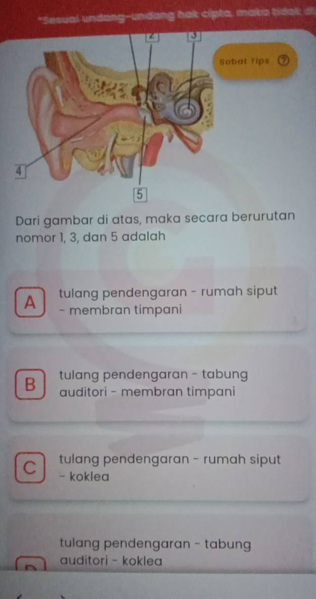 Sesual undang-undang hak cipta, maka tidak a
Dari gambar di atas, maka secara berurutan
nomor 1, 3, dan 5 adalah
A tulang pendengaran - rumah siput
- membran timpani
B tulang pendengaran - tabung
auditori - membran timpani
tulang pendengaran - rumah siput
C - koklea
tulang pendengaran - tabung
auditori - koklea