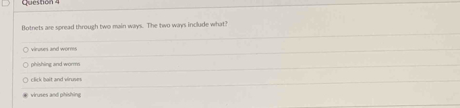 Botnets are spread through two main ways. The two ways include what?
viruses and worms
phishing and worms
click bait and viruses
viruses and phishing