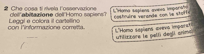 Che cosa ti rivela l’osservazione
L'Homo sapiens aveva imparato 
dell'abitazione dell'Homo sapiens?
costruire verande con le stoffe
Leggi e colora il cartellino
con l'informazione corretta.
L'Homo sapiens aveva imparato a
utilizzare le pelli degli animali cc