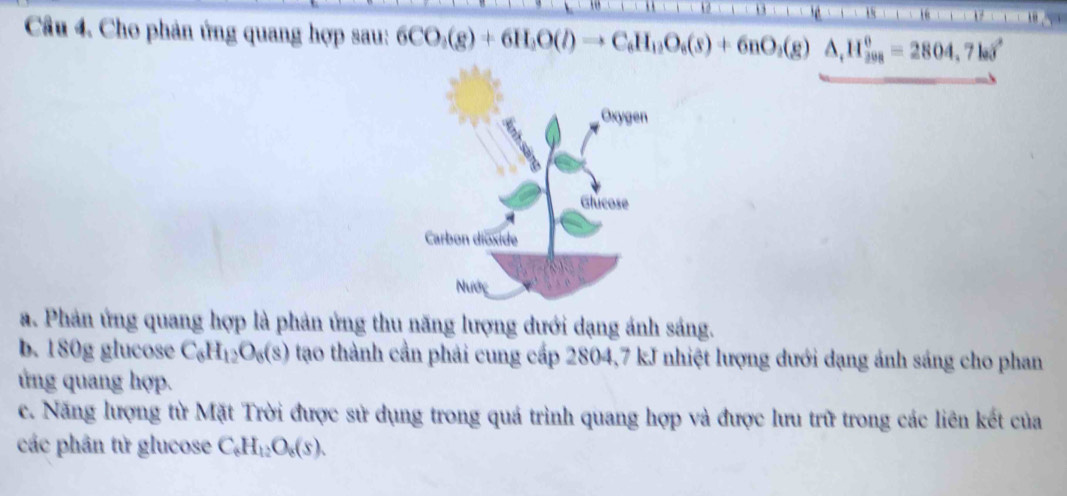 Cho phản ứng quang hợp sau: 6CO_3(g)+6H_2O(l)to C_6H_12O_6(s)+6nO_2(g)△ _1H_(208)^0=2804.7kJ
a. Phản ứng quang hợp là phản ứng thu năng lượng dưới dạng ánh sáng. 
b. 180g glucose C_6H_12O_6(s) tạao thành cần phải cung cấp 2804, 7 kJ nhiệt lượng dưới dạng ánh sáng cho phan 
ứng quang hợp. 
c. Năng lượng từ Mặt Trời được sử dụng trong quá trình quang hợp và được lưu trữ trong các liên kết của 
các phân tử glucose C_6H_12O_6(s).