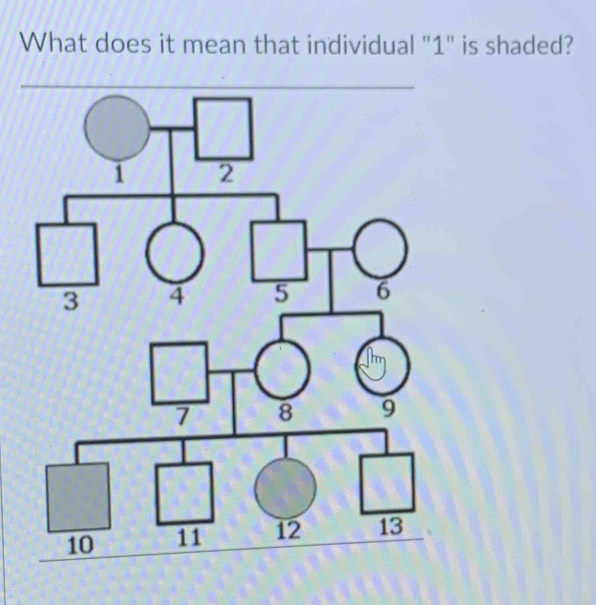 What does it mean that individual "1" is shaded?