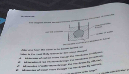 Pencd
The diagram shows an esperment to demonstrats the movement of motecutes
marted truste
-
red ink solution
beaker of water
permeable membrane attached to funnel
After one hour, the water in the beaker turned red.
What is the most likely reason for this colour change?
A Molecules of red ink move through the membrane by diffusion.
B Molecules of red ink move through the membrane by osmosis.
C Molecules of water move through the membrane by diffusion.
Molecules of water move through the membrane by osmosis.
1 dioxide concentration in
l gyeolus in the lungs?