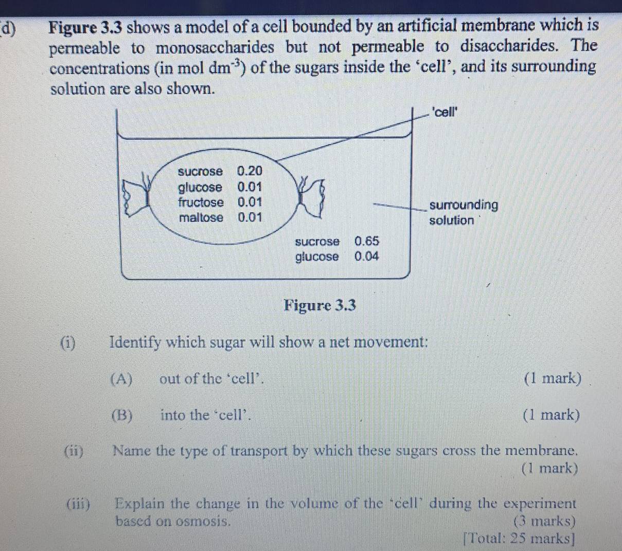 Figure 3.3 shows a model of a cell bounded by an artificial membrane which is 
permeable to monosaccharides but not permeable to disaccharides. The 
concentrations (in mol dm^(-3)) of the sugars inside the ‘cell’, and its surrounding 
solution are also shown. 
(i) Identify which sugar will show a net movement: 
(A) out of the ‘cell’. (1 mark) 
(B) into the ‘cell’. (1 mark) 
(ii) Name the type of transport by which these sugars cross the membrane. 
(1 mark) 
(iii) Explain the change in the volume of the ‘cell’ during the experiment 
based on osmosis. (3 marks) 
[Total: 25 marks]