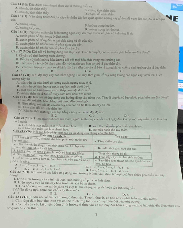 Đặc điểm cảm ứng ở thực vật là thường diễn ra
A. nhanh, dễ nhận thầy. B. chậm, khỏ nhận thảy.
C. nhanh, khô nhận thấy. D. châm, dễ nhận thấy
Câu 15(H ): Vào rừng nhiệt đới, ta gặp rắt nhiều dây leo quân quanh những cây gỗ lớn đẻ vượn lên cao, đó là kết quả VE
cùn
A. hướng sáng B. hướng trọng lực âm
C. hướng tiếp xúc, D. hướng trọng lực dương.
Câu 16 (H): Nguyên nhân của hiện tượng ngọn cây khi mọc vươn về phía có ánh sáng là do
A. auxin phân bố tập trung ở đình chồi
B. auxin phân bố đồng đều ở hai phía sáng và tối của cây.
C. auxin phần bố nhiều hơn về phía sáng của cây.
D. auxin phân bổ nhiều hơn về phía tối của cây.
Câu 17 (VD): Khi nói về hướng động của thực vật. Theo li thuyết, có bao nhiêu phát biểu sau đây đúng?
I. Rễ cây có tính hướng nước dương.
II. Rể cây có tỉnh hướng hóa dương đổi với mọi hóa chất trong môi trường đất.
IIL Tể bào rẻ cây có độ nhạy cảm đổi với auxin cao hơn so với tể bảo thân cây.
IV. Với hàm lượng auxin cao sẽ kích thích sự dân dài của tế bảo rễ trong khi ức chể sự sinh trưởng của tể bào thân.
A. 2 B. 3. C. 4 D. 1.
Câu 18 (VD): Khi đặt một cây non nằm ngang. Sau một thời gian, rễ cây cong xuống còn ngọn cây vươn lên. Hiện
tượng này do
A. mặt trên và mặt dưới có lượng auxin ngang nhau ở rễ.
B. mặt trên có hàm lượng auxin cao hơn mặt dưới ở rễ.
C. mặt trên có hãm lượng auxin thấp hơn mặt dưới ở rễ.
D. tế bảo thân và tế bào rễ nhạy cám như nhau với auxin.
Cu 19 (VD): Khi nổi ve ứng dụng của hướng động vào trồng trọt. Theo li thuyết, có bao nhiêu phát biểu sau đây đúng?
1. Làm đất tơi xốp, bón phân, tưới nước đều quanh gốc.
I1. Gieo tròng với mặt độ caokhi cây còn non và tỉa thưa khi cây đã lớn
III. Làm giản đổi với cây thân leo.
IV. Kéo dài thời gian ngủ của hạt bằng cách giảm nhiệt độ, độ ảm.
A. 1. B. 2. C. 3. D. 4.
Câu 20 (VD): Trong quá trình làm rau mầm, người ta thường che tối 2 - 3 ngày đầu khi hạt mới này mằm, việc làm này
có ý nghĩa
A. kích thích thân mằm phát triển nhanh hơn. B. kích thích rễ mằm phát triển nhanh hơn.
C. tế bào thân mằm giả hoá nhanh hơn. D. tạo màu xanh cho cây mẫm
Cầu 21 (VD): Nói
C. 1 - a, 2- c, 3 - e, 4 - b, 5-d D. 1-a,2-c,3-b,4-d,5-e.
Câu 2 (VD) 0: Khi nổi về các kiểu ứng động sinh trưởng ở thực vật. Theo lí thuyết, có bao nhiêu phát biểu sau đây
đúng?
I. Đinh sinh trưởng của cảnh và thân luôn hướng về phía có ánh sáng
II. Hiện tượng cụp lá của cây hoa trình nữ khi bị va chạm.
III. Hoa bồ công anh nở ra lúc sáng và cụp lại lúc chạng vạng tối hoặc lúc ảnh sáng yếu.
IV.Vận động ngủ, thức của chồi cây theo mùa.
A. 1. B. 2 C. 3. D. 4.
Cầu 23 (VDC): Khi nói về tính cầm ứng ở thực vật. Theo lí thuyết, có bao nhiêu phát biểu sau đây đùng?
L. Cảm ứng đảm báo cho thực vật có thể thích ứng tốt hơn với sự biển đổi của môi trường.
II. Cơ chế của các kiểu vận động định hướng ở thực vật do sự thay đổi hàm lượng auxin ở hai phía đổi diện nhau của
cơ quan bị kích thích.
2