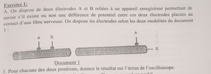 On dispose de deux électrodes A et B reliées à un appareil enregistreur permettant de 
savoir s'il existe ou non une différence de potentiel entre ces deux électrodes placées au 
contact d'une fibre nerveuse. On dispose les électrodes selon les deux modalités du document 
1: 
Document l 
1. Pour chacune des deux positions, donnez le résultat sur l'écran de l'oscilloscope.