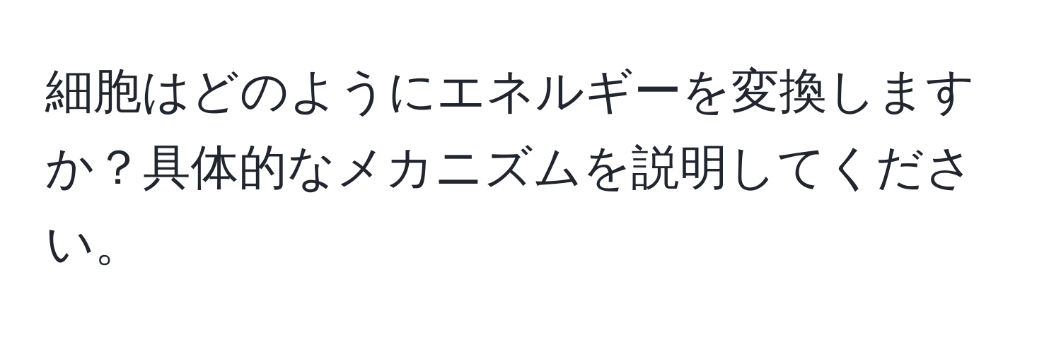 細胞はどのようにエネルギーを変換しますか？具体的なメカニズムを説明してください。