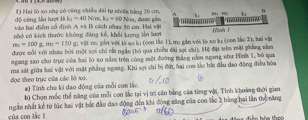 Cầ 1 (4,0 aểm)
1) Hai lò xo nhẹ có cùng chiều dài tự nhiên bằng 20 cm, 
độ cứng lần lượt là k_1=40N/m,k_2=60N/m , được gắn 
vào hai điểm cố định A và B cách nhau 50 cm. Hai vật
nhỏ có kích thước không đáng kể, khối lượng lần lượt
m_1=100g,m_2=150g; vật m1 gắn với lò xo kı (con lắc 1), m² gắn với lò xo k² (con lắc 2); hai vật
được nối với nhau bởi một sợi chỉ rất ngắn (bỏ qua chiều dài sợi chỉ). Hệ đặt trên mặt phẳng nằm
ngang sao cho trục của hai lò xo nằm trên cùng một đường thẳng nằm ngang như Hình 1, bỏ qua
ma sát giữa hai vật với mặt phẳng ngang. Khi sợi chỉ bị đứt, hai con lắc bắt đầu dao động điều hòa
dọc theo trục của các lò xo.
a) Tính chu kì dao động của mỗi con lắc.
b) Chọn mốc thế năng của mỗi con lắc tại vị trí cân bằng của từng vật. Tính khoảng thời gian
ngắn nhất kể từ lúc hai vật bắt đầu dao động đến khi động năng của con lắc 2 bằng hai lần thể năng
của con lắc 1.  diề  u hòa theo