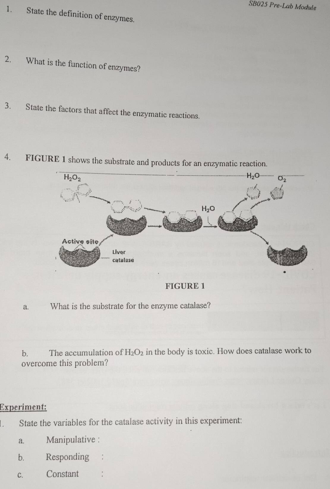 SB025 Pre-Lab Module
1. State the definition of enzymes.
2. What is the function of enzymes?
3. State the factors that affect the enzymatic reactions.
4. FIGURE 1 shows the substrate and products for an enzymatic reaction.
FIGURE 1
a. What is the substrate for the enzyme catalase?
b. The accumulation of H_2O_2 in the body is toxic. How does catalase work to
overcome this problem?
Experiment:
State the variables for the catalase activity in this experiment:
a. Manipulative :
b. Responding €：
C.£ Constant :